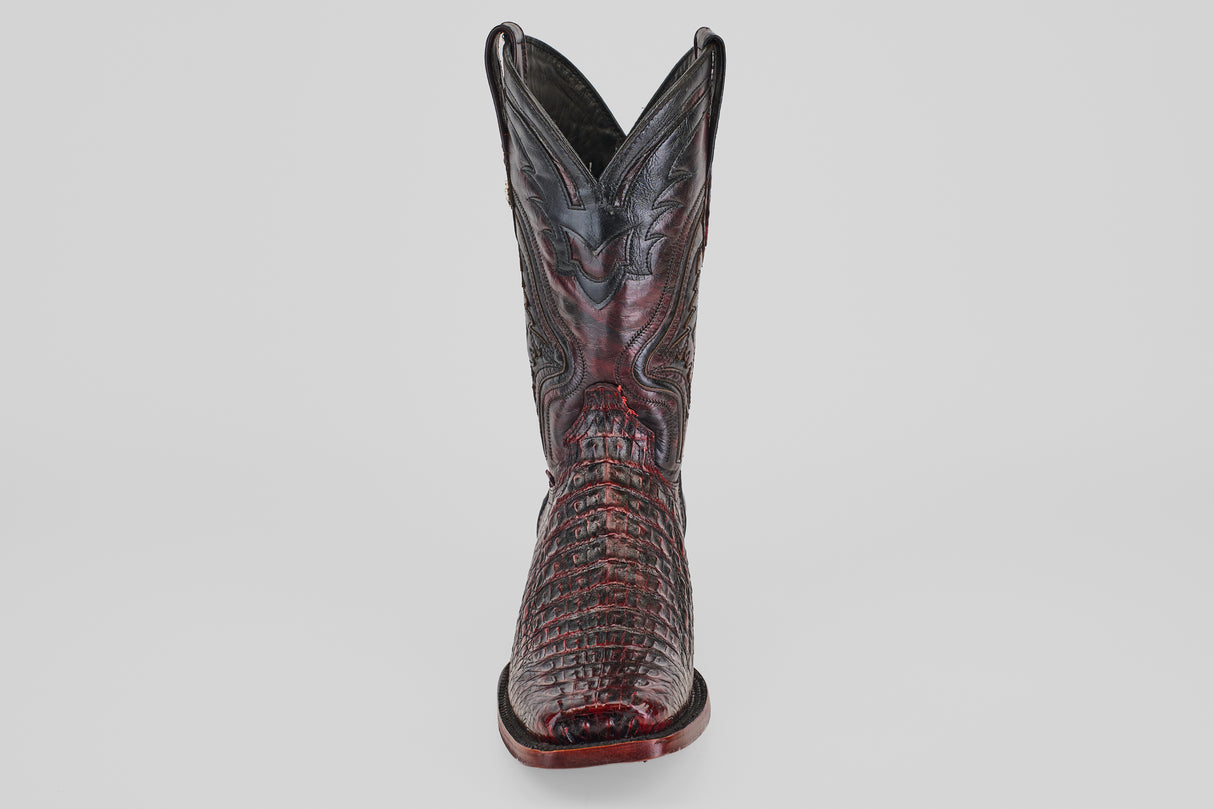 The Exotic Caiman Hornback - Blackcherry - Rodeo Toe boot, featuring a pointed toe, crocodile texture, and decorative stitching, stands upright against a plain light background.