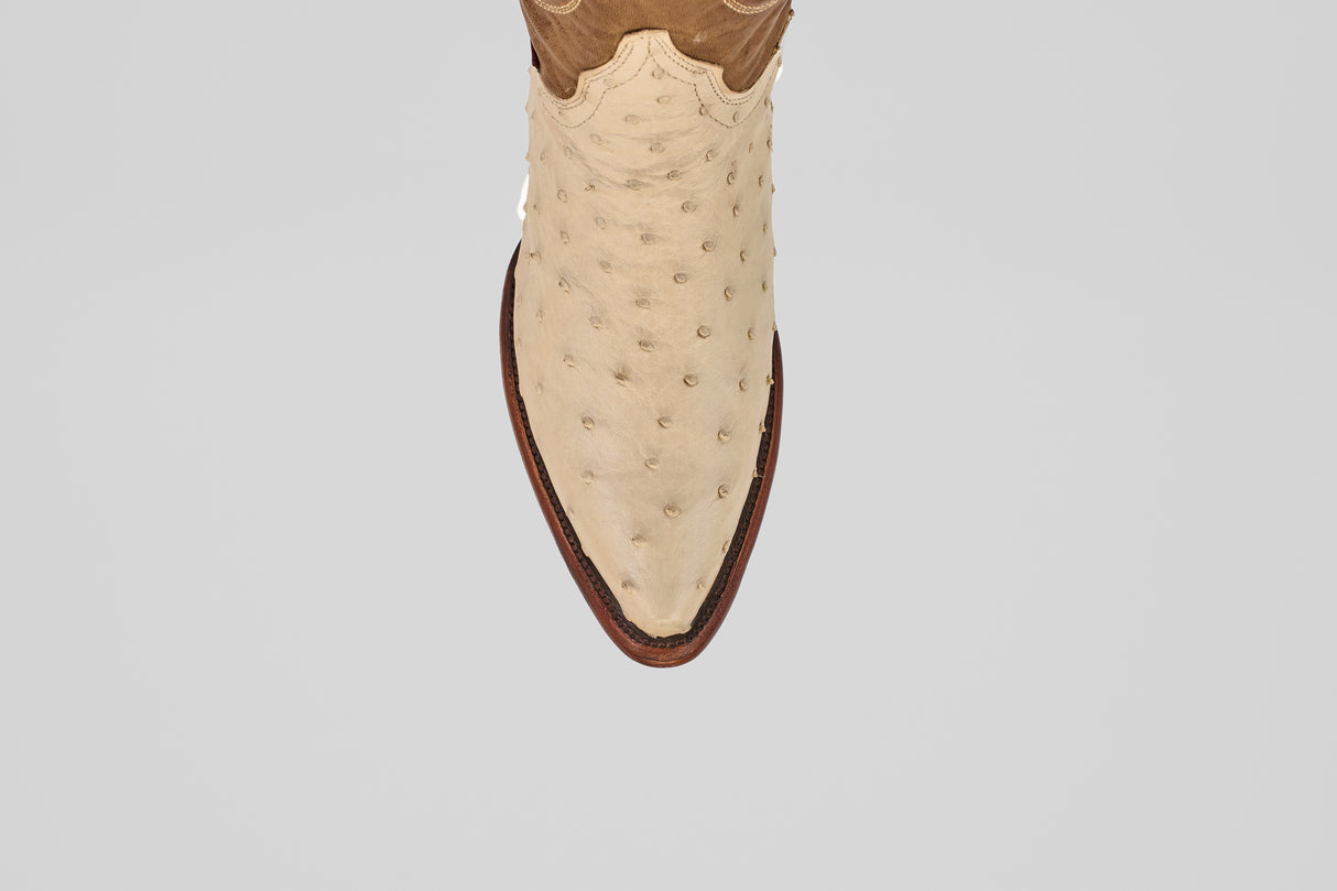 Top view of the Austin - Bone - Snip Toe boot in cream with a textured, ostrich-style finish and brown sole, centered on a plain light gray background.