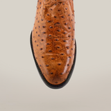 A detailed shot of the Karoo Ostrich Print Buttercup shoe reveals its glossy brown ostrich leather with a unique quill pattern, reminiscent of classic Karoo boots. It features a round toe and is accented by a black sole against a white background.