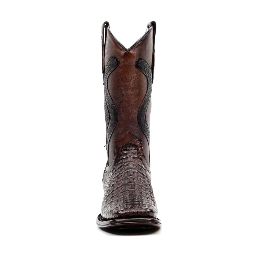 Caiman Lomo Café Diamante Rodeo H-501 - Gomez Western Wear