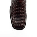 Caiman Lomo Café Diamante Rodeo H-501 - Gomez Western Wear