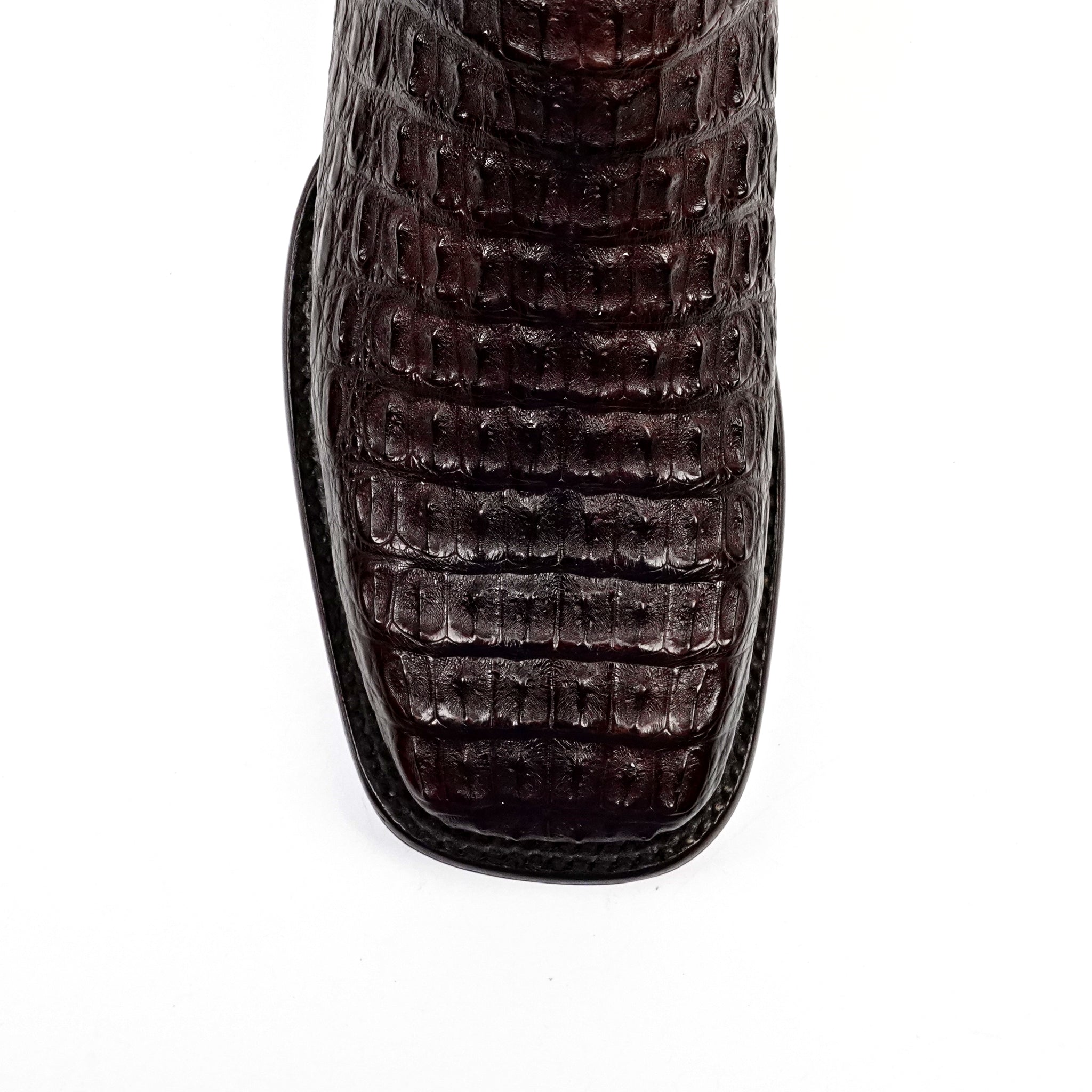 Caiman Lomo Café Diamante Rodeo H-501 - Gomez Western Wear