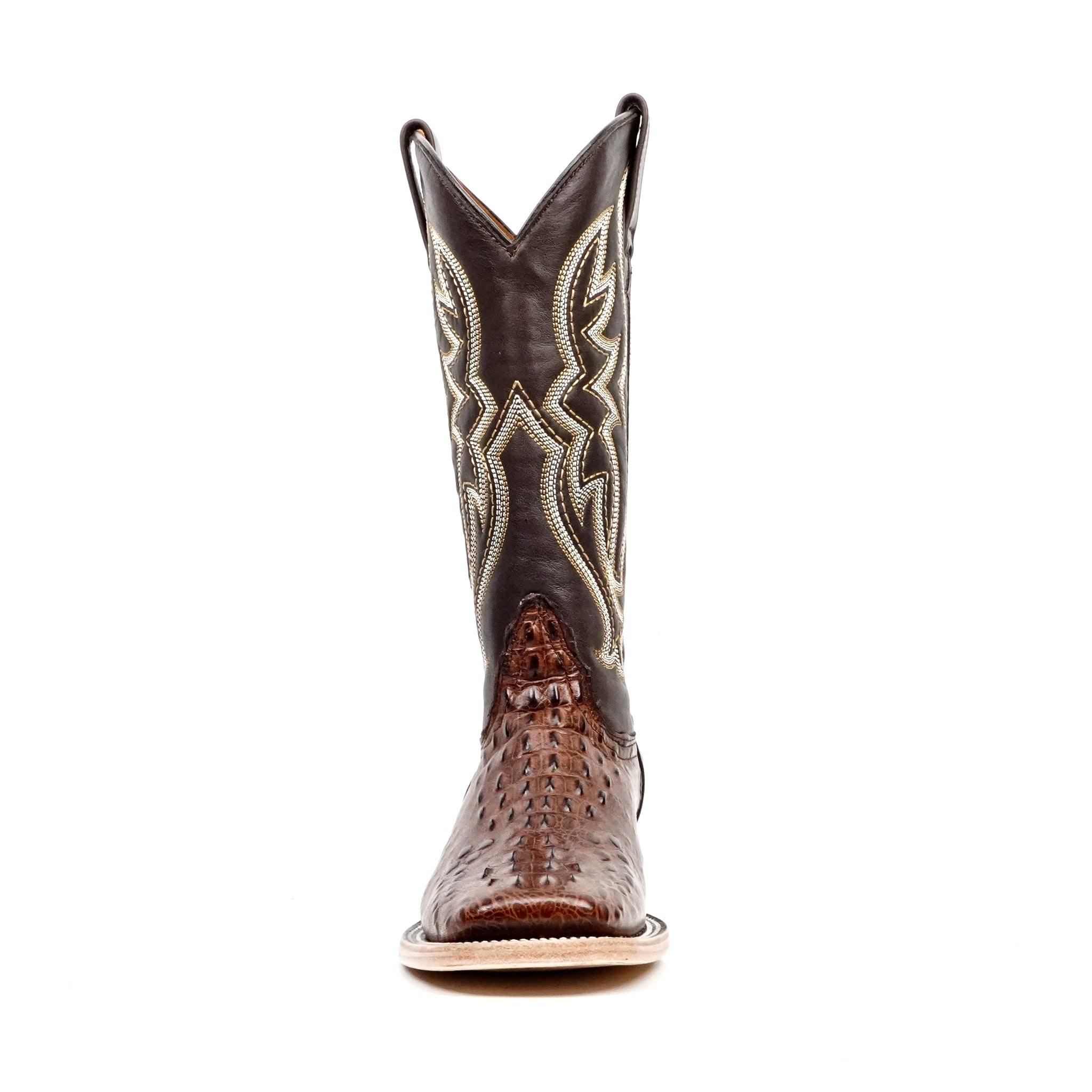 E427 Choco Fuscus H-501