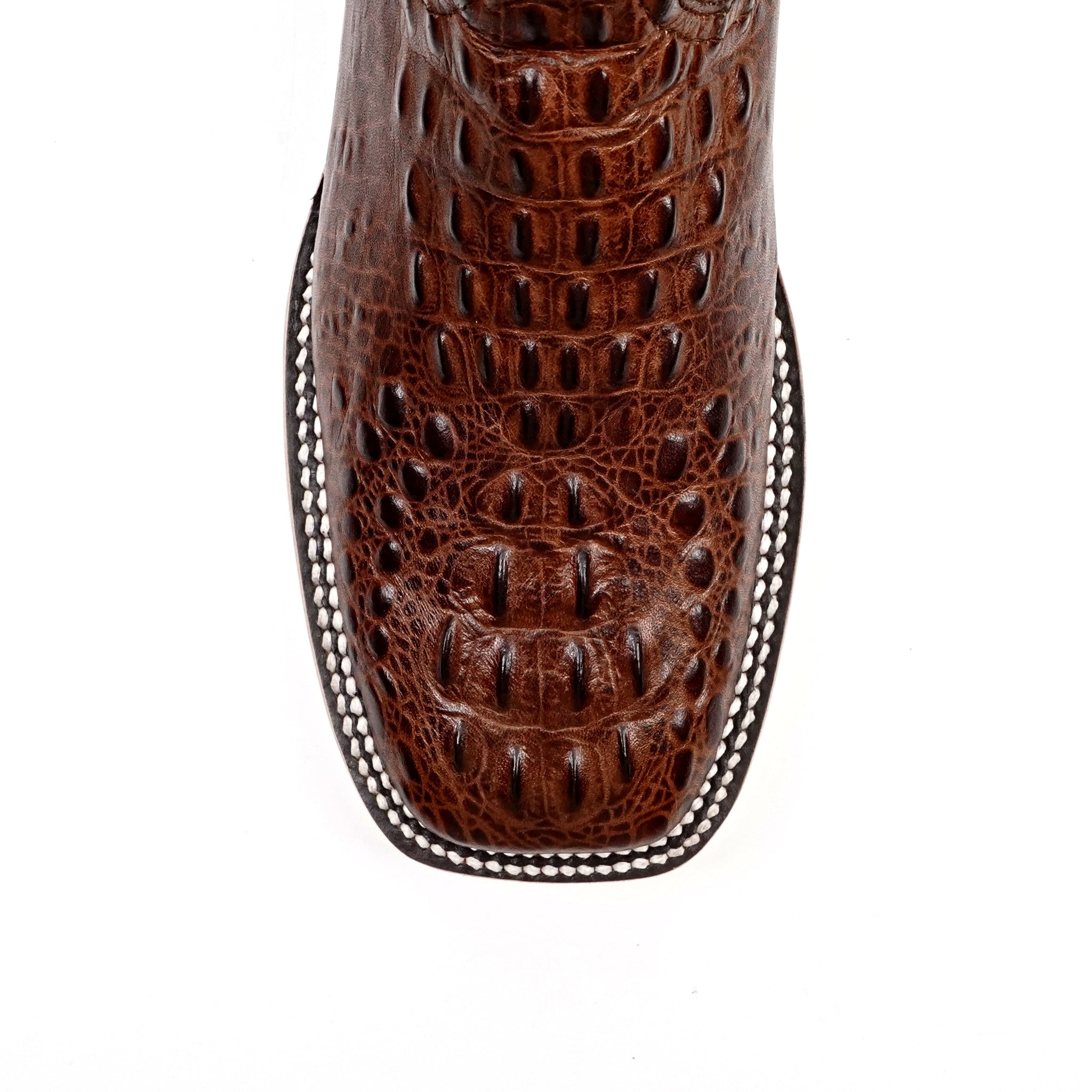E427 Choco Fuscus H-501