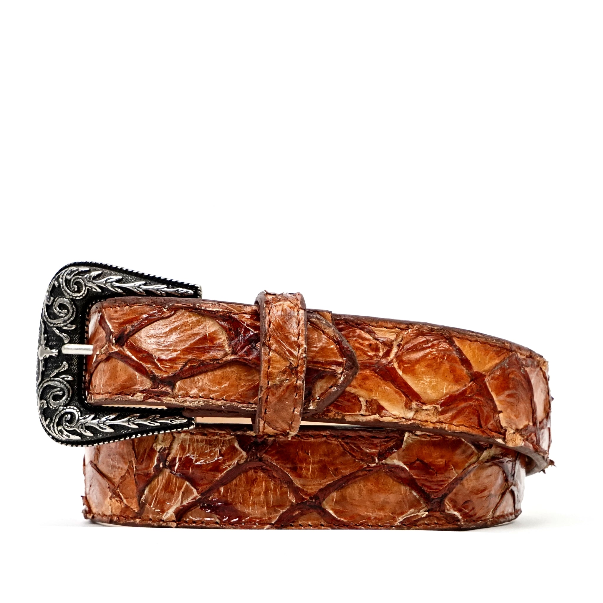 Exotic Full Quilt Pirarucu Fish -Texas Buckle - Brandy Belt