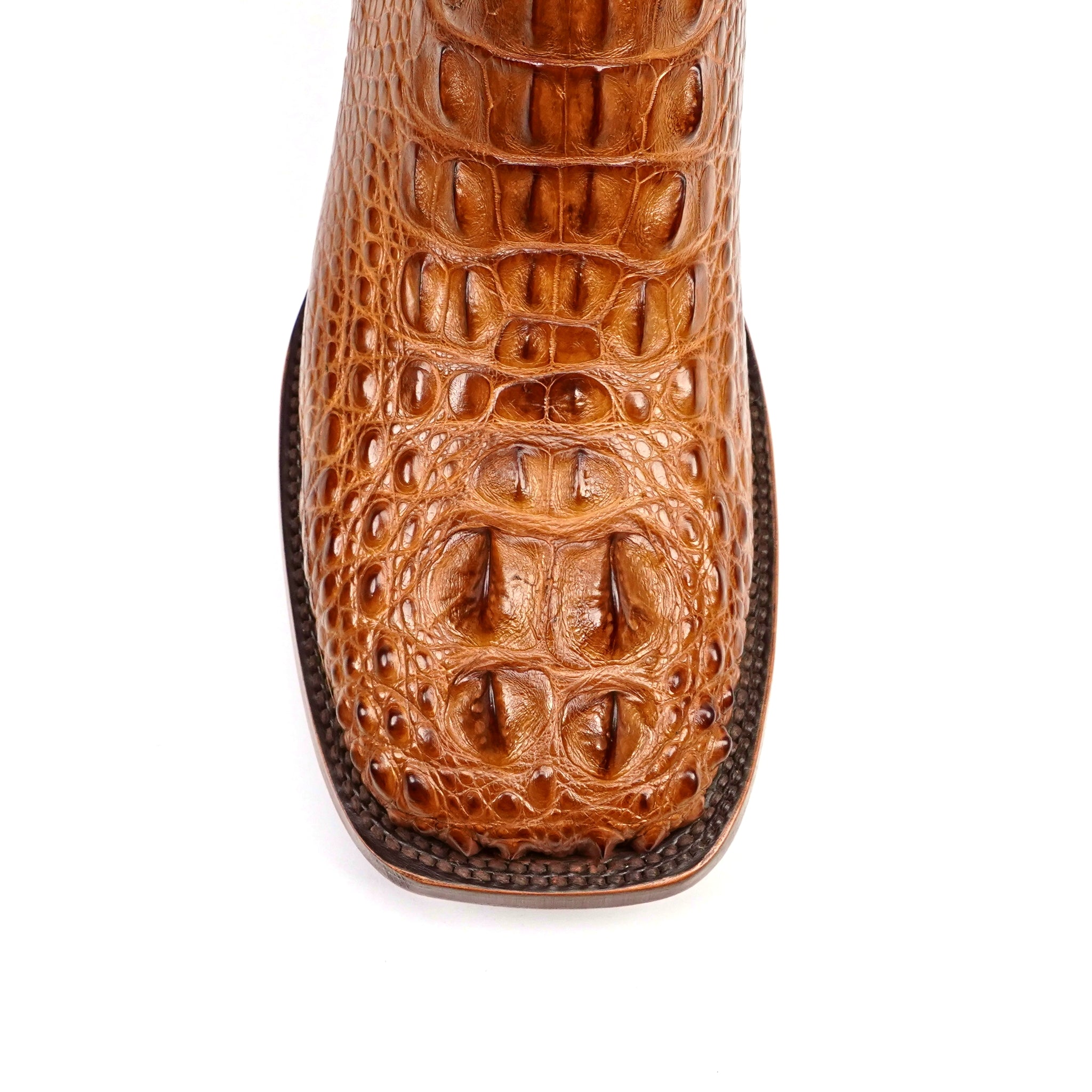 Valencia Camel - Snip Toe (E813) – Gomez Western Wear
