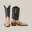 The Exotic Python - Natural - Snip Toe cowboy boots feature textured black shafts and beige python-patterned lowers with a snip toe, exuding intrigue. They are displayed on a plain light-gray background.