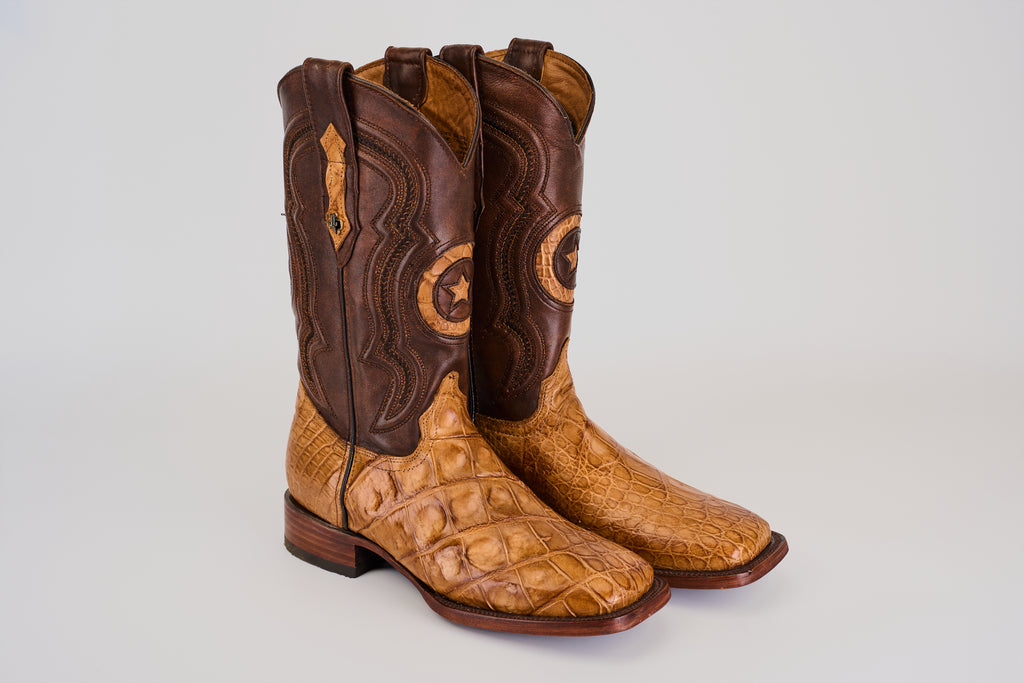 James - Fawn - Punta cuadrada (Aligátor Hornback)