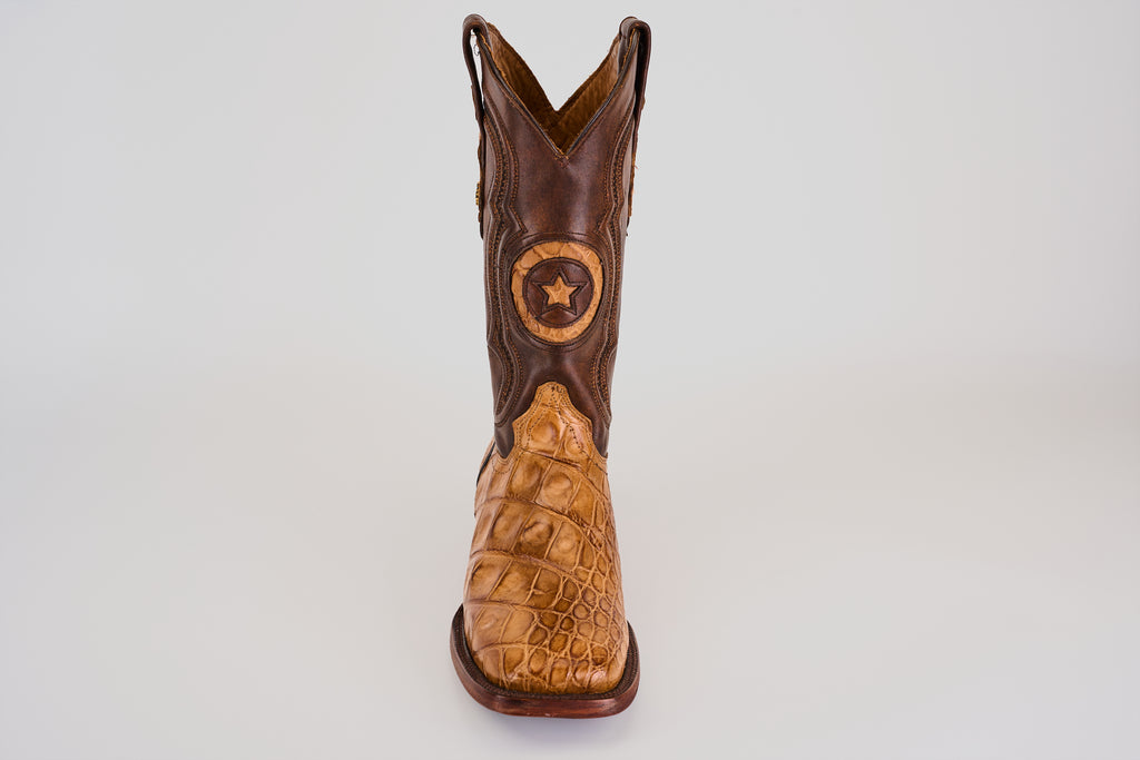 James - Fawn - Punta cuadrada (Aligátor Hornback)