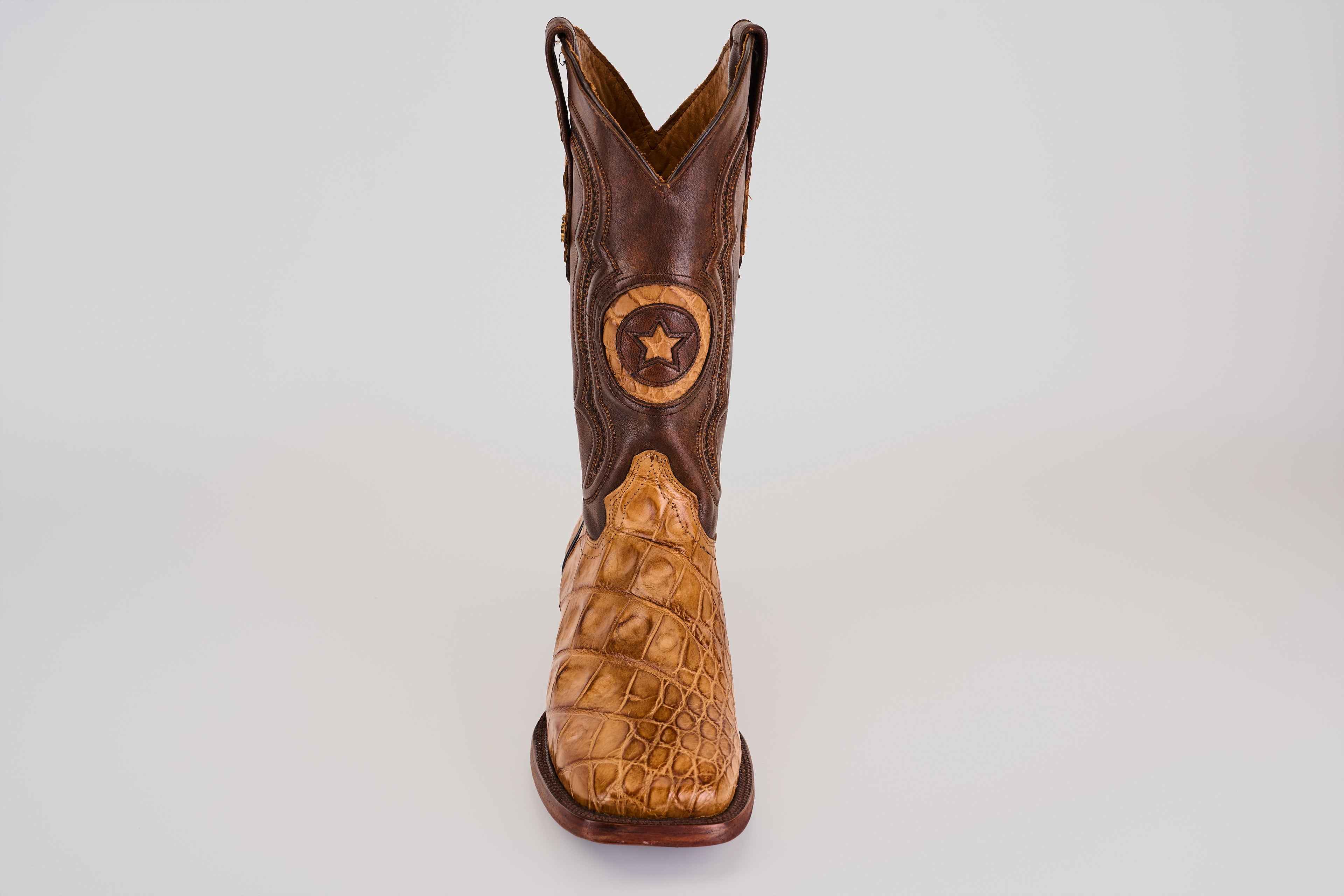 James - Fawn - Punta cuadrada (Aligátor Hornback)
