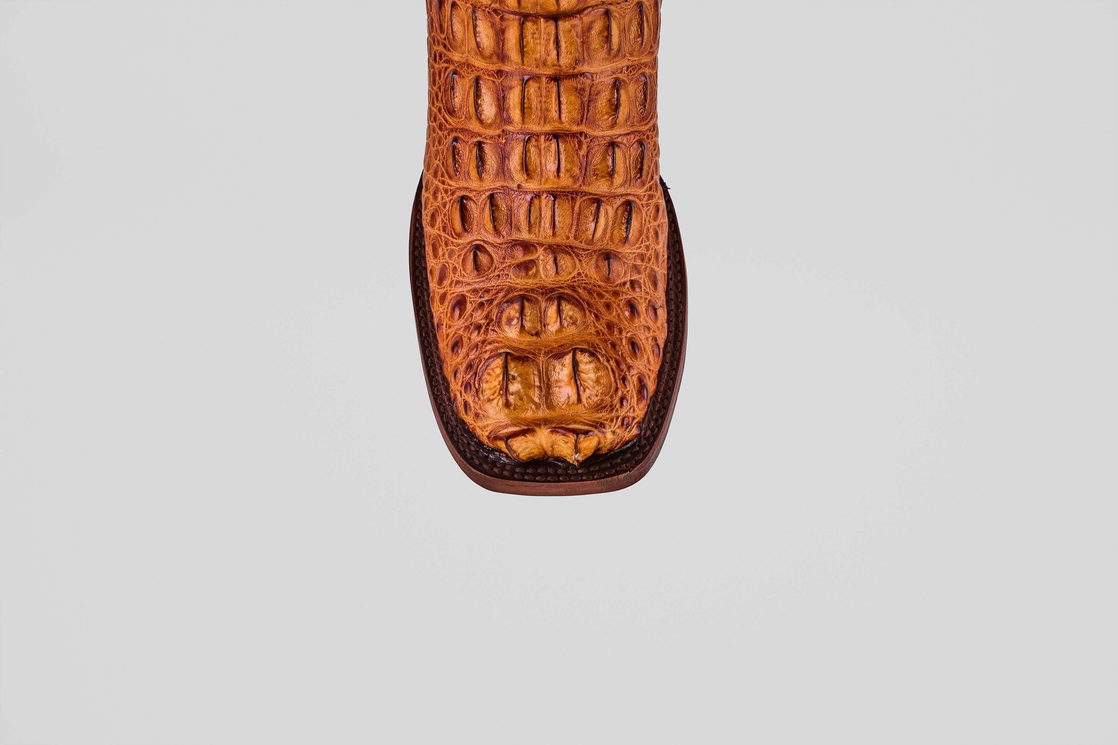 James - Coñac - Punta Cuadrada (Cabeza de Cocodrilo)