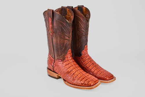 Exotic Caiman Horn Back - Brandy - Square Toe