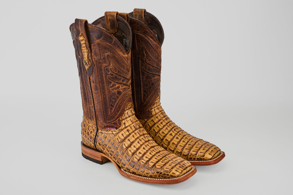 The Exotic Caiman Horn Back - Biza Camel - Square Toe boots feature light brown, alligator-patterned leather on the foot and darker brown, smooth leather with decorative stitching on the shaft, shown against a plain light background.