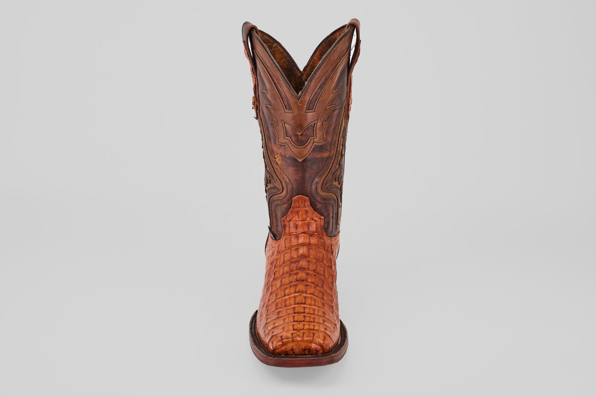Exotic Caiman Hornback - Brandy - Rodeo Toe