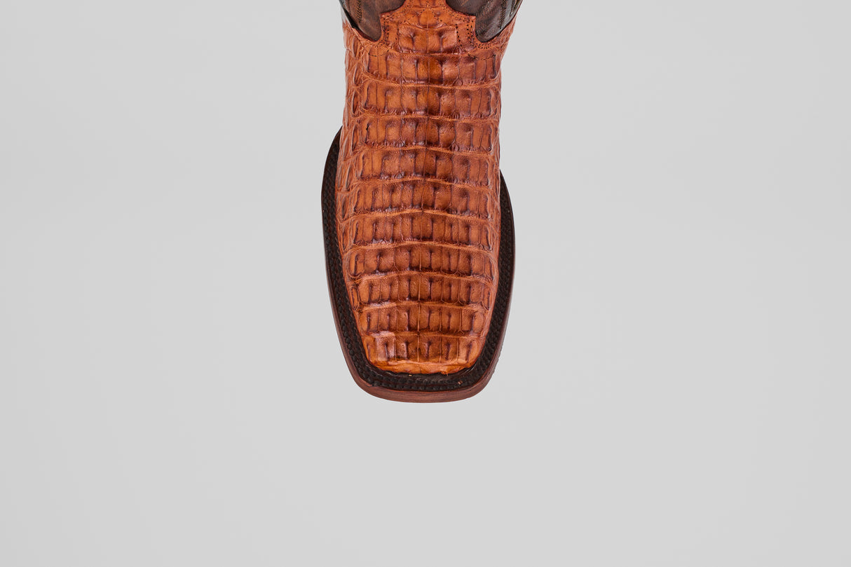 Exotic Caiman Hornback - Brandy - Rodeo Toe