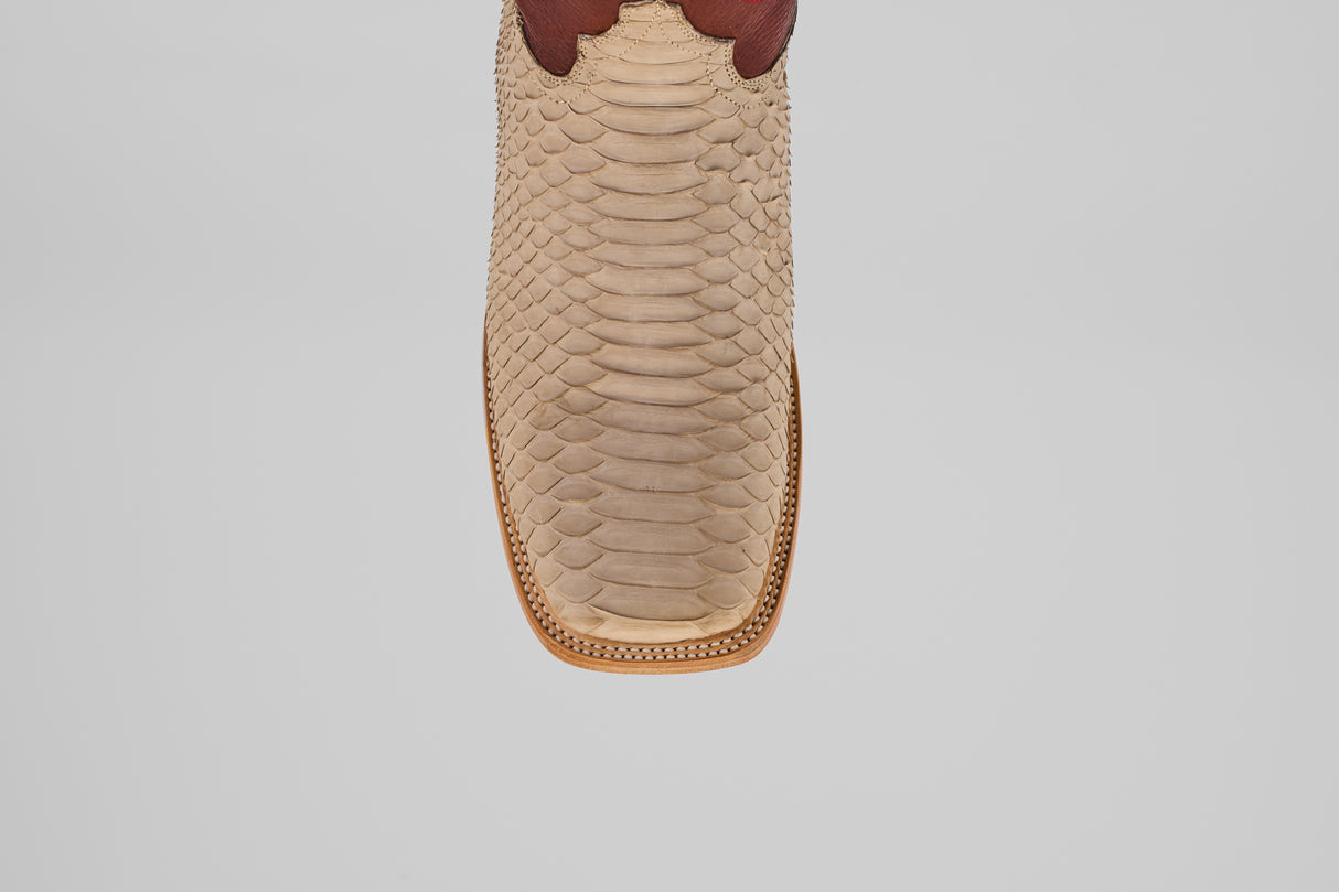 A close-up, top-down view of the Braxton - Cappucino boot features beige python leather, a dark brown accent at the top, and a textured square toe design.