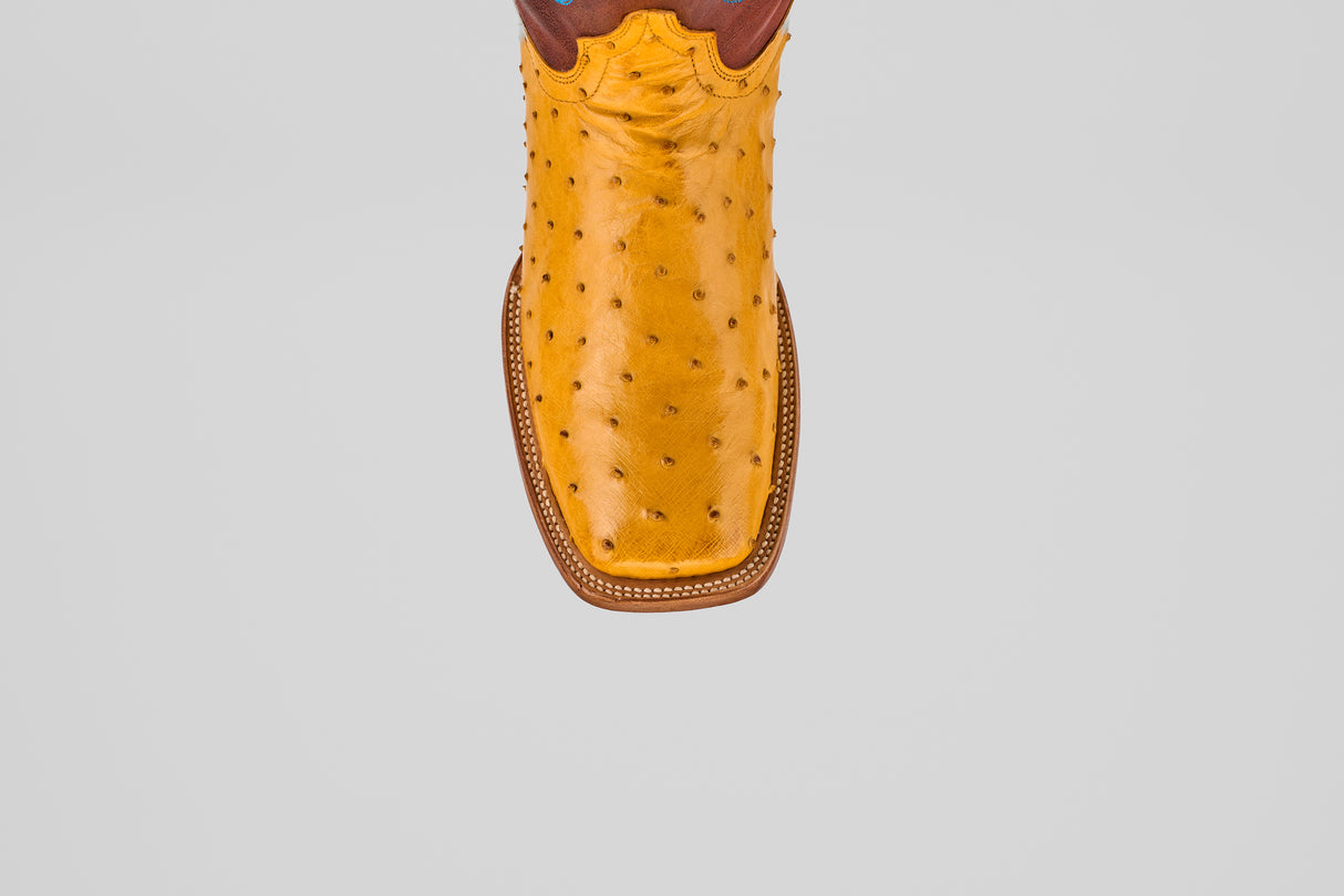 A close-up of the Ransom - Buttercup - Square Toe boot from the Platinum Collection, highlighting its yellow exotic ostrich leather, square toe, and decorative stitching against a plain gray background.