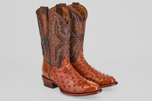 Austin - Brandy - Round Toe