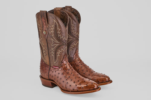 Austin - Brown - Round Toe