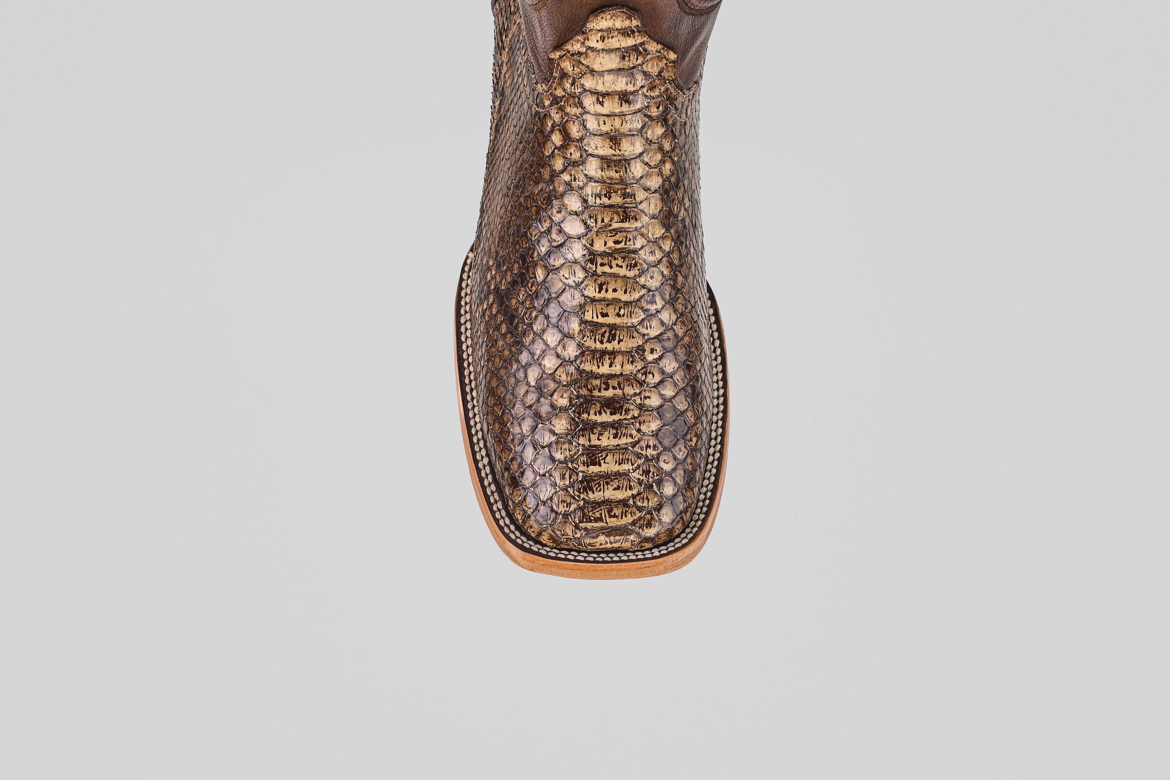 A close-up of the Tanner – Dune – Square Toe boot showcases its shiny python leather finish and detailed stitching on the toe, set against a plain white background—ideal for fans of western-inspired boots.