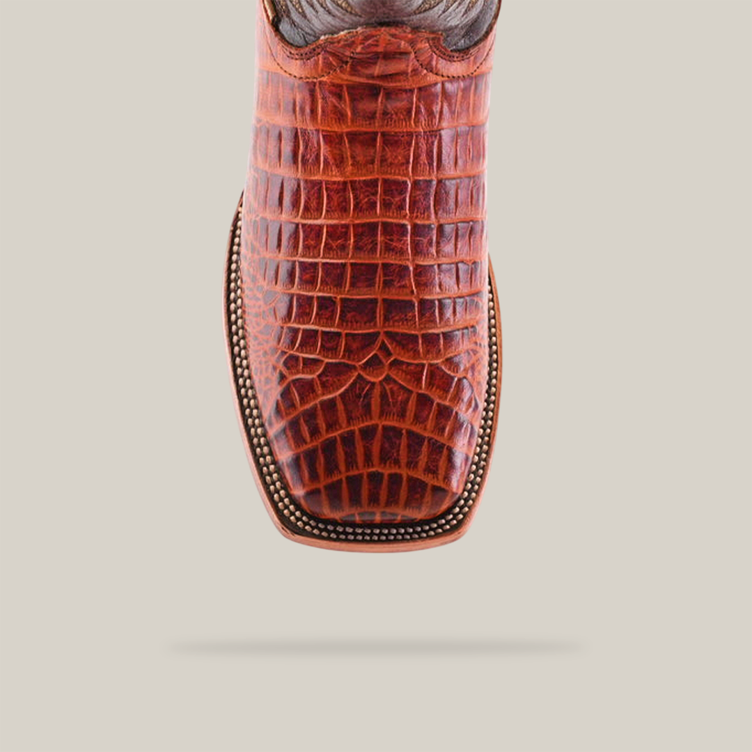 Top view of the Caiman Belly Print Cogñac - Square Toe boot made from high-quality cowhide with a caiman belly design, featuring decorative stitching around the edge, set against a white background.