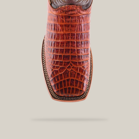 Top view of the Caiman Belly Print Cogñac - Square Toe boot made from high-quality cowhide with a caiman belly design, featuring decorative stitching around the edge, set against a white background.