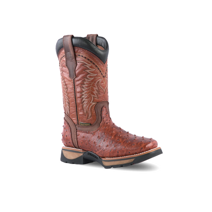 cavender's boot city- cavender- cowboy with boots- cavender's- wranglers- boot cowboy- cavender boot city- cowboy cowboy boots- cowboy boot- cowboy boots- boots for cowboy- cavender stores ltd- boot cowboy boots- wrangler- cowboy and western boots- ariat boots-
