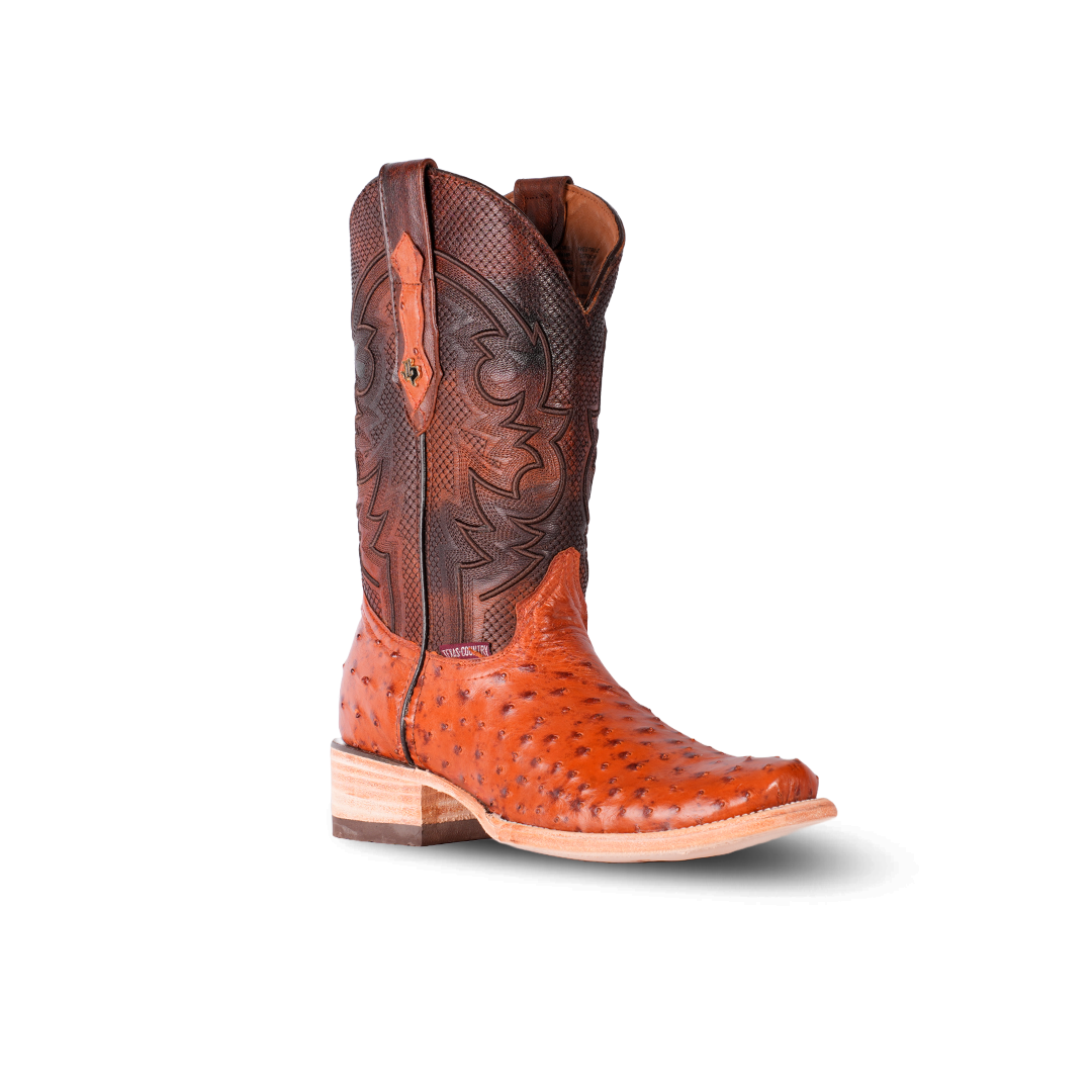 store close to me-
boot barn-
boot barn booties-
boots boot barn-
buckles-
ariat-
boot-
cavender's boot city-
cavender-
cowboy with boots-
cavender's-
wranglers-
