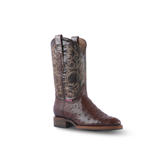 skin snake boots- boots women's ariat- big & tall store near me- fr apparel- cowboy hats for guys- turtle box- girl boots- man with cowboy hat- mens overalls- chippewa dress boots- womens boots ariat- pink boots- women's cowgirl hat- woman cowgirl hat- mens hats cowboy- female western hats- durango boot- cowboy hats ladies- boots and leather- western store-