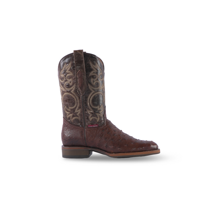 skin snake boots- boots women's ariat- big & tall store near me- fr apparel- cowboy hats for guys- turtle box- girl boots- man with cowboy hat- mens overalls- chippewa dress boots- womens boots ariat- pink boots- women's cowgirl hat- woman cowgirl hat- mens hats cowboy- female western hats- durango boot- cowboy hats ladies- boots and leather- western store-