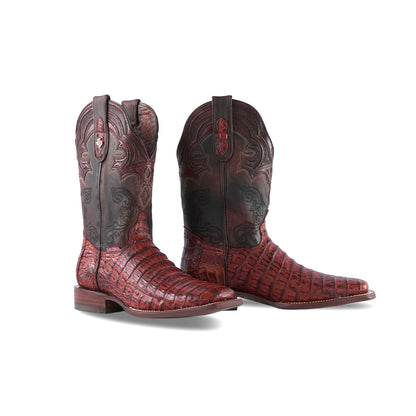 Texas Country Exotic Boot  Cola Caiman Belly Brandy Muñequeado  Square Toe LCP40