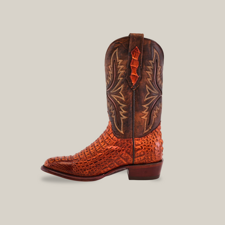 An Exotic Caiman Hornback - Brandy - Round Toe cowboy boot displays an orange caiman hornback texture on the lower part and a decorated brown upper shaft. Set upright against a plain backdrop, it boasts intricate stitching and a pull tab, capturing the essence of classic western style.