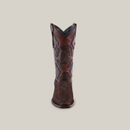 From the Platinum Collection, this single Western-style cowboy boot features intricate black and red patterns. It has a Versy Toe, pull straps on each side, and an Exotic Python - 4G Matte Brown finish over a plain light grey backdrop.
