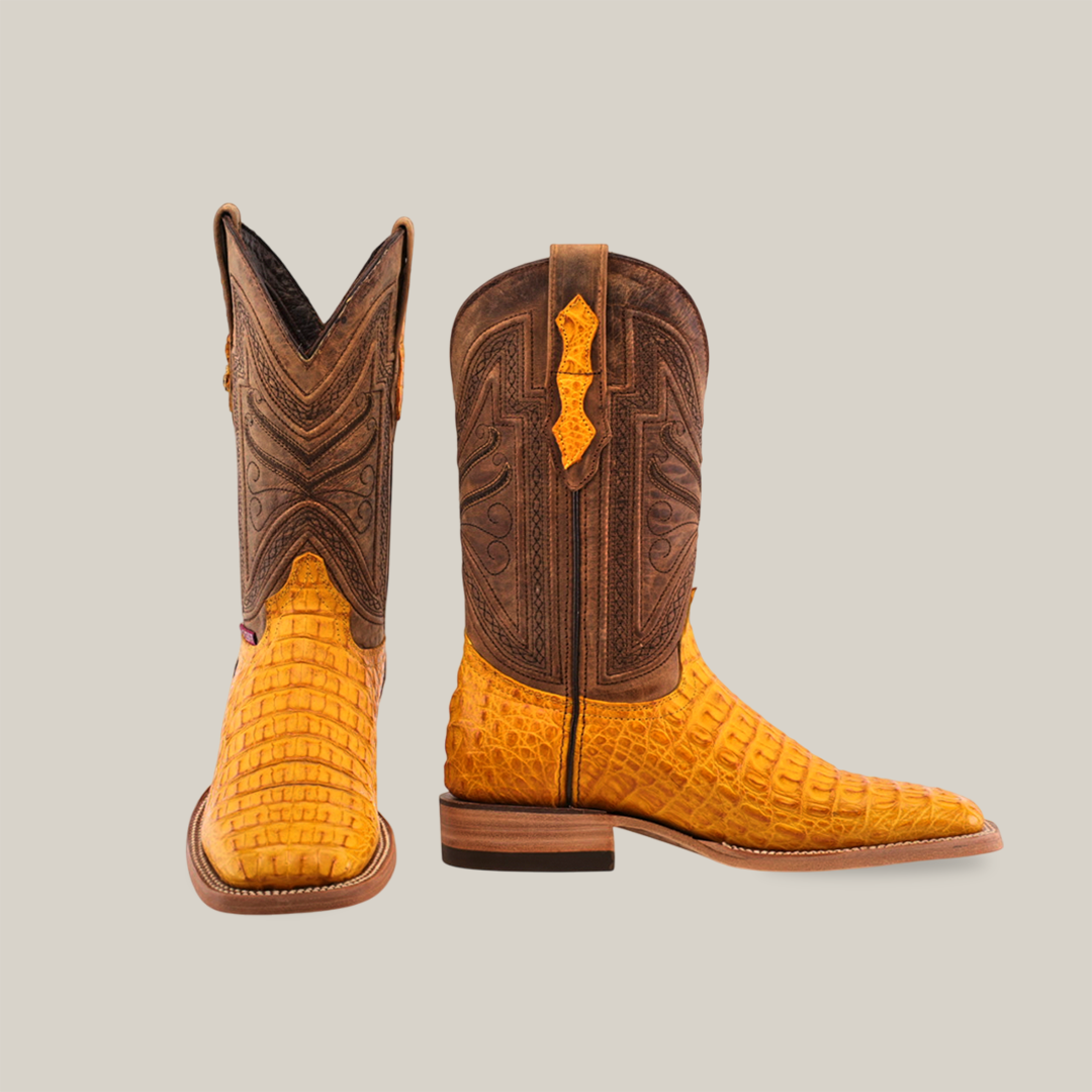 A pair of Exotic Caiman Horn Back cowboy boots in Buttercup, featuring a tan lizard skin foot and intricately stitched brown leather shafts—one upright, the other angled to showcase luxury design against a light gray background.