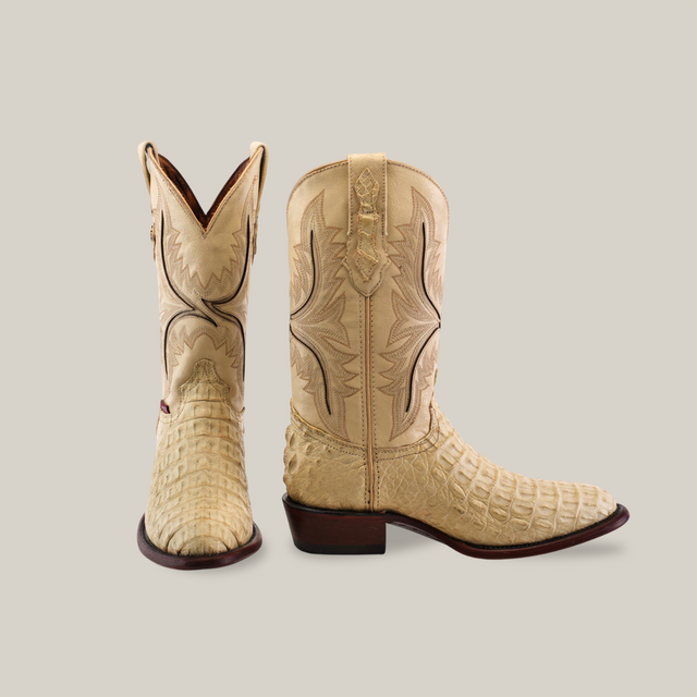 The Exotic Caiman Hornback boots in bone display exquisite craftsmanship with one boot upright and the other angled, showcasing intricate stitching and dark brown soles. Set against a light background, the refined texture of these authentic beige leather cowboy boots is highlighted.