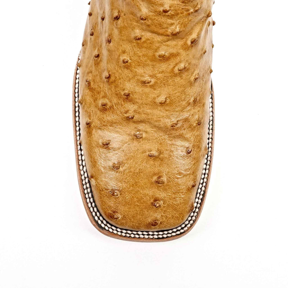 Austin Ostrich Boots - Fawn - Square Toe (AV20) - Gomez Western Wear