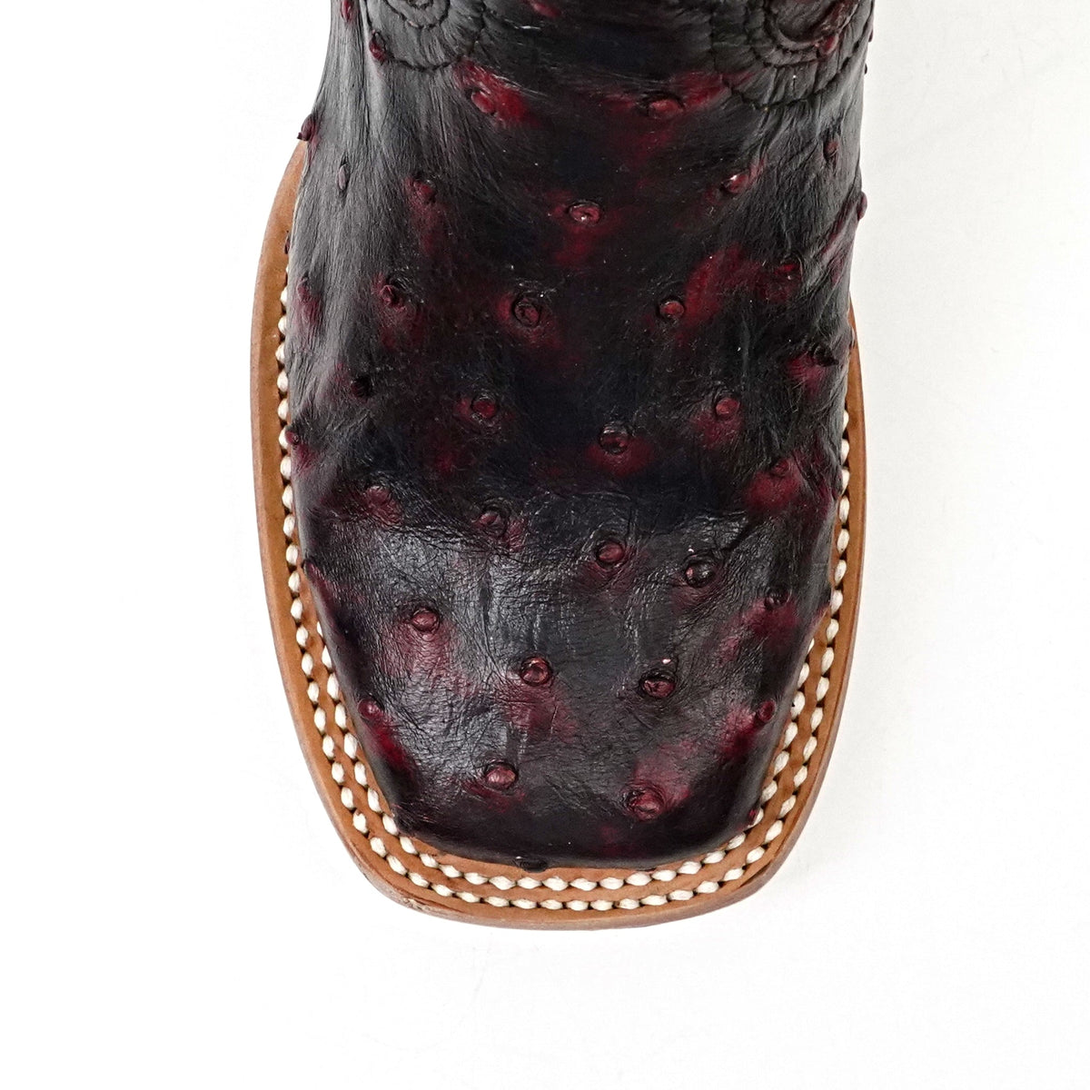 Avestruz Blackcherry / Old English Gris Oxford - Gomez Western Wear