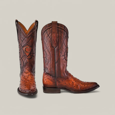 The Moroni Chestnut Ostrich Laser & Embroidery - Round Toe - CU303 boots are crafted from ostrich leather with unique intricate stitching. Featuring a pointed toe and medium heel, theyre perfectly displayed against a plain backdrop.