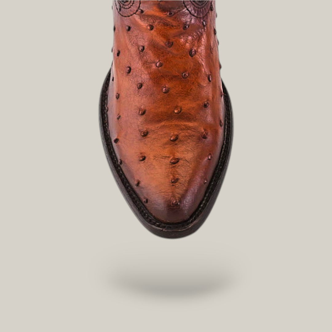 Close-up of the Moroni Chestnut Ostrich Laser & Embroidery - Round Toe - CU303 shoe, showcasing brown ostrich leather with quill marks, intricate stitching, and laser-engraved details on the toe against a plain background.