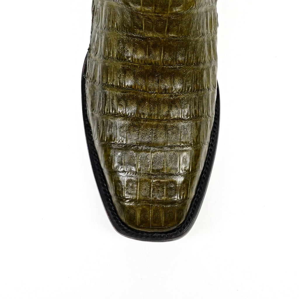 Rhodes Caiman Belly Boots - Agave - Cutter Toe - Gomez Western Wear